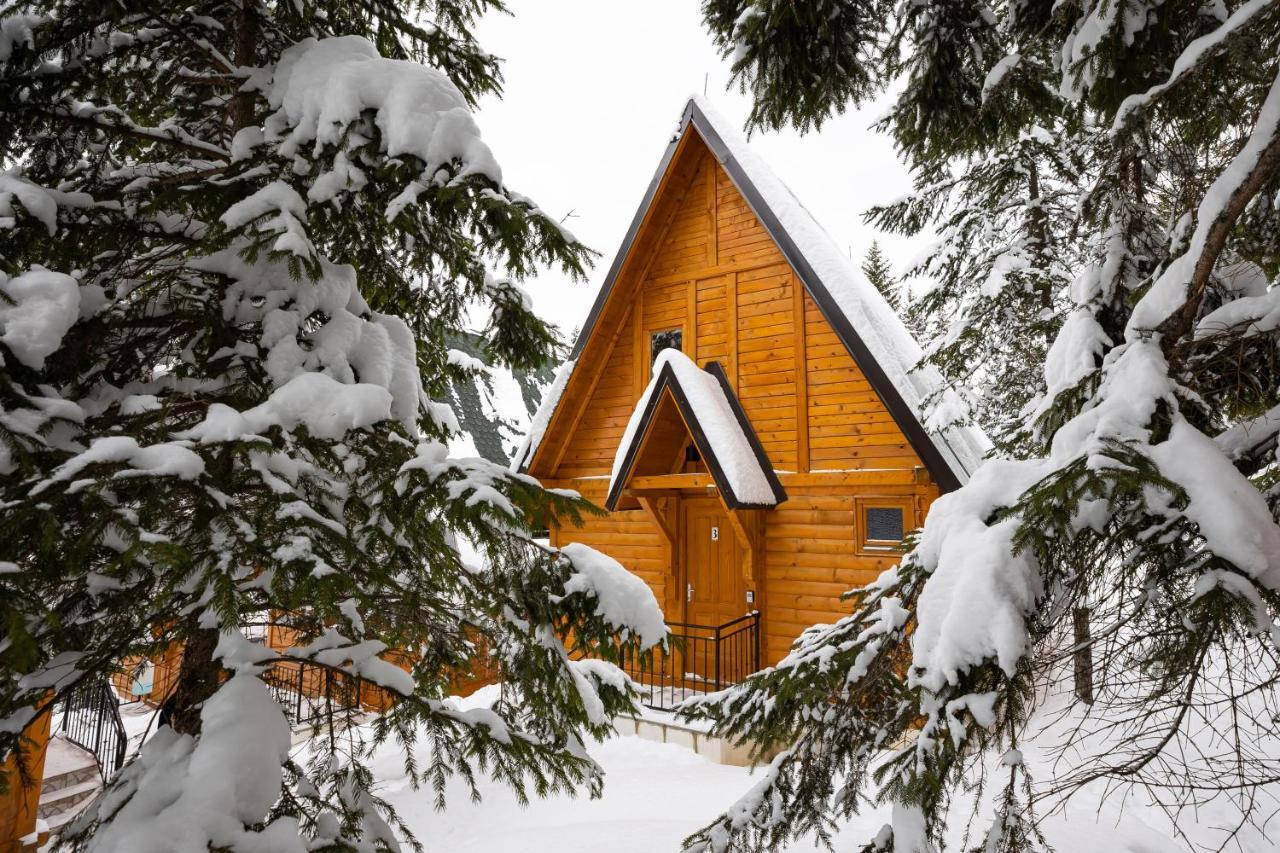 Zlatair Eco Holiday home *