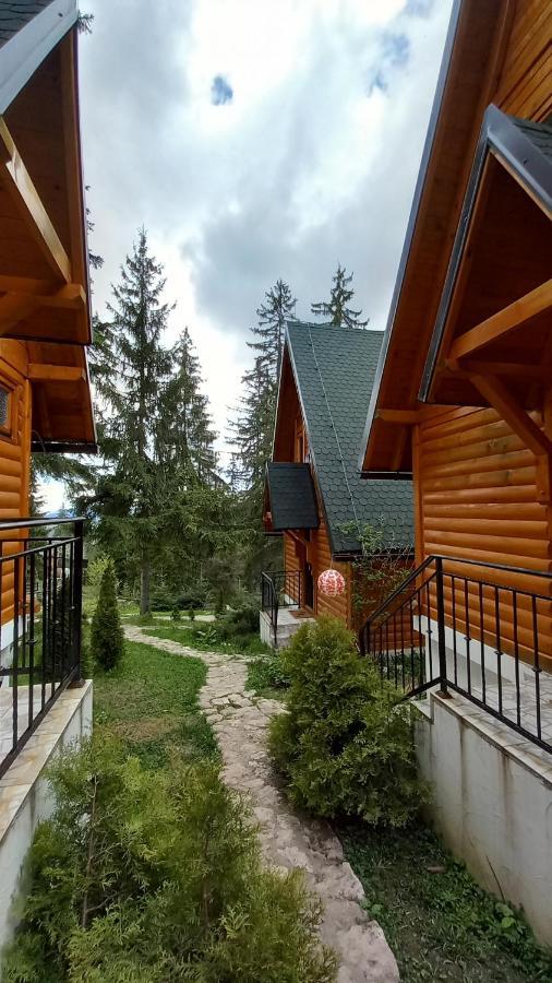 Zlatair Eco *