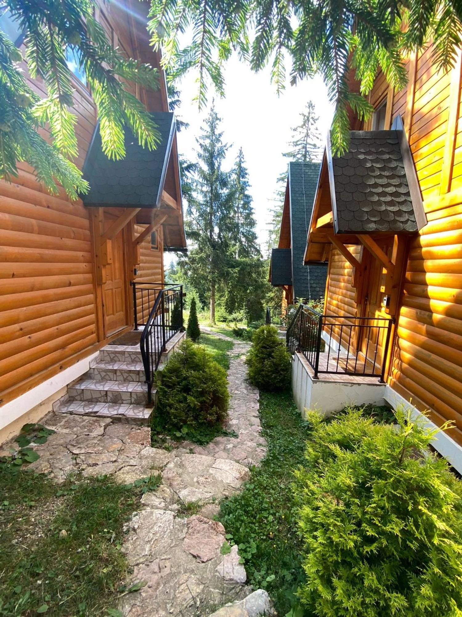 Zlatair Eco * Nova Varos